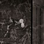 Imagen de 017673 REGADERA BR CHAP CHF B (REC-03-B) PROYECTA