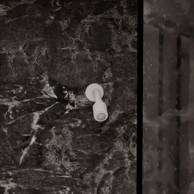 Imagen de 017673 REGADERA BR CHAP CHF B (REC-03-B) PROYECTA