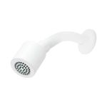 Imagen de 017673 REGADERA BR CHAP CHF B (REC-03-B) PROYECTA