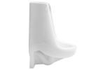 Imagen de 017099 MINGITORIO TERRA II BLANCO CATO